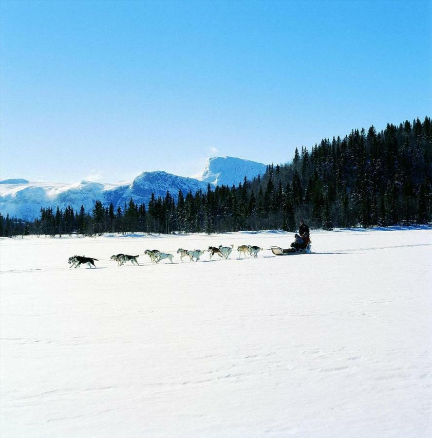 Вилла Koselig Hytte I Хемседал Экстерьер фото